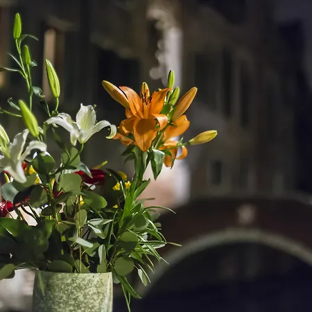 Dimora Dogale Guest house Venice