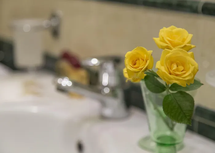 ディモーラ ドガーレ 3* ヴェネツィア